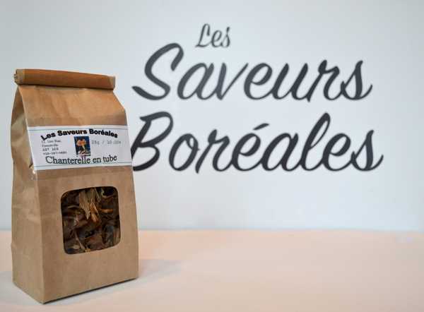 Chanterelle en tubes